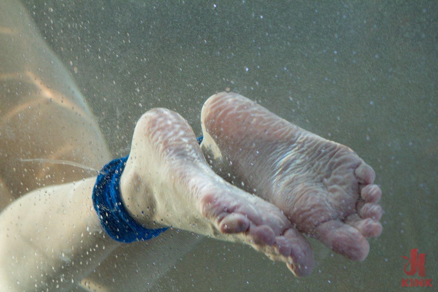 Photo number 3 from Part 3: The Tank shot for Water Bondage on Kink.com. Featuring Phoenix Marie, Chanel Preston, Lea Lexis and Bobbi Starr in hardcore BDSM & Fetish porn.