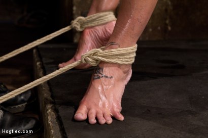 Photo number 7 from Amber Rayne Live Show Part 2 - Drawn and Quartered shot for Hogtied on Kink.com. Featuring Amber Rayne in hardcore BDSM & Fetish porn.