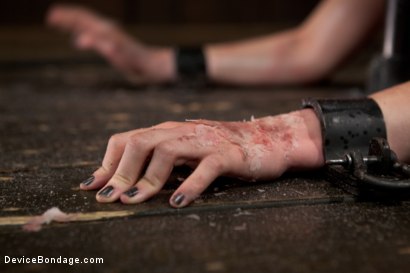 Photo number 10 from Alani Pi - Head Shaved Slut Live Show - Part 2 shot for Device Bondage on Kink.com. Featuring Alani Pi and Coral Aorta in hardcore BDSM & Fetish porn.