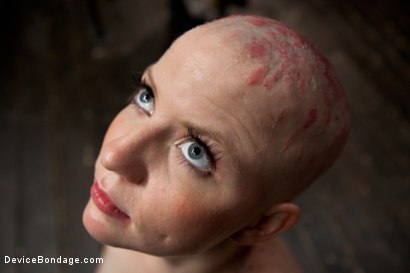 Photo number 14 from Alani Pi - Head Shaved Slut Live Show - Part 2 shot for Device Bondage on Kink.com. Featuring Alani Pi and Coral Aorta in hardcore BDSM & Fetish porn.