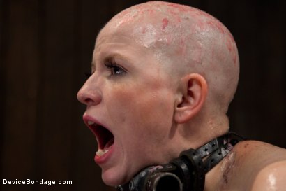 Photo number 7 from Alani Pi - Head Shaved Slut Live Show - Part 2 shot for Device Bondage on Kink.com. Featuring Alani Pi and Coral Aorta in hardcore BDSM & Fetish porn.