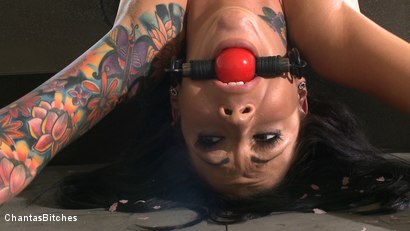 Photo number 11 from Lorelei's New Pet shot for Chanta's Bitches on Kink.com. Featuring Lorelei Lee and Mason Moore in hardcore BDSM & Fetish porn.