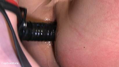 Photo number 10 from Naughty, Naughty Chad shot for Captive Male on Kink.com. Featuring Mz Berlin, Dia Zerva and Chad Rock in hardcore BDSM & Fetish porn.