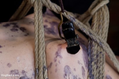 Photo number 6 from Blue Eyed Beauty Sarah Shevon Challenged Classic HogTied Style shot for Hogtied on Kink.com. Featuring Danny Wylde and Sarah Shevon in hardcore BDSM & Fetish porn.