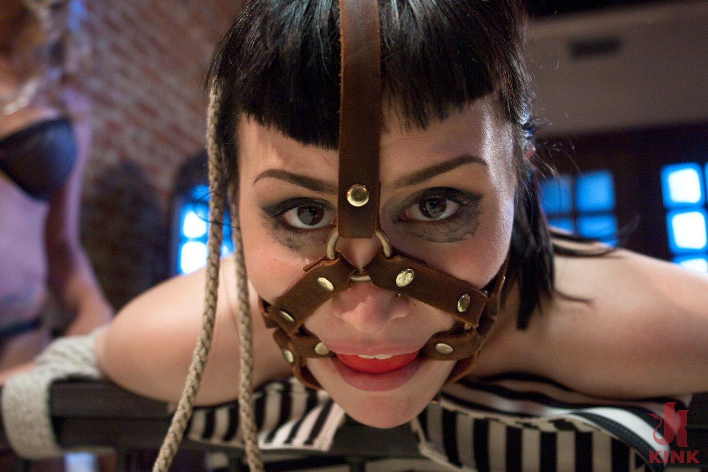 Photo number 4 from Cuckold Done The Lesbian Way! shot for Whipped Ass on Kink.com. Featuring Felony, Katharine Cane and Gia DiMarco in hardcore BDSM & Fetish porn.