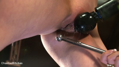 Photo number 3 from Nika's Bitch shot for Chanta's Bitches on Kink.com. Featuring Nika Noire and Sasha Lexing in hardcore BDSM & Fetish porn.