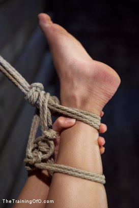 Photo number 27 from Opening up Anikka Albrite: Day Two shot for The Training Of O on Kink.com. Featuring Anikka Albrite and Aiden Starr in hardcore BDSM & Fetish porn.