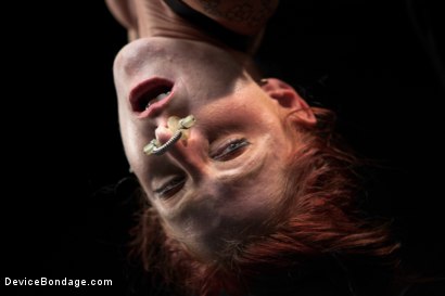 Photo number 13 from Water play special! Tricia Oaks loves asphyxiation- we oblige. shot for Device Bondage on Kink.com. Featuring Tricia Oaks and Claire Adams in hardcore BDSM & Fetish porn.