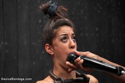 Photo number 8 from Lyla Storm vs Jack Hammer shot for Device Bondage on Kink.com. Featuring Lyla Storm and Jack Hammer in hardcore BDSM & Fetish porn.