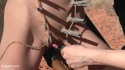 Photo number 15 from FEATURE SHOOT : Hitchhiker In Trouble shot for Hogtied on Kink.com. Featuring Amber Rayne and Maestro in hardcore BDSM & Fetish porn.