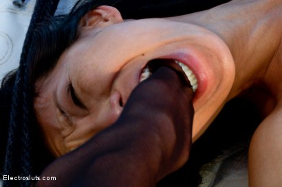 Photo number 14 from Sexy Asian takes Intense Electro-torment! shot for Electrosluts on Kink.com. Featuring Tia Ling, Ariel X and Chanel Preston in hardcore BDSM & Fetish porn.