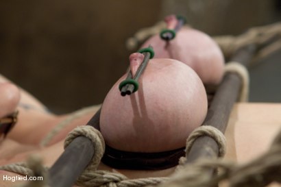 Photo number 11 from Annika Returns to HogTied shot for Hogtied on Kink.com. Featuring Annika in hardcore BDSM & Fetish porn.