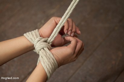 Photo number 6 from Leilani Leeane shot for Hogtied on Kink.com. Featuring Leilani Leeane in hardcore BDSM & Fetish porn.