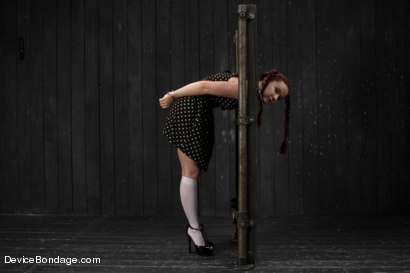 Photo number 0 from Pig shot for Device Bondage on Kink.com. Featuring AnnaBelle Lee in hardcore BDSM & Fetish porn.