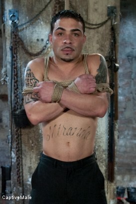 Photo number 17 from Double the Pain shot for Captive Male on Kink.com. Featuring Nika Noire, Dia Zerva and Rico in hardcore BDSM & Fetish porn.