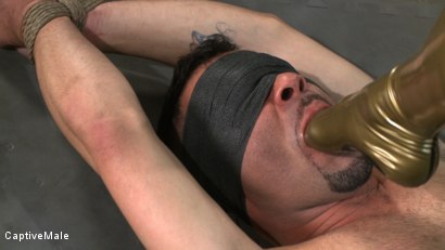 Photo number 9 from Double the Pain shot for Captive Male on Kink.com. Featuring Nika Noire, Dia Zerva and Rico in hardcore BDSM & Fetish porn.