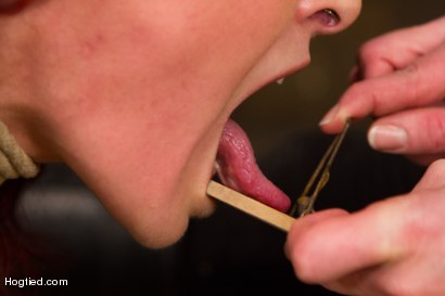 Photo number 2 from Annika - Complete Edited Live Show shot for Hogtied on Kink.com. Featuring Annika in hardcore BDSM & Fetish porn.