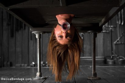 Photo number 8 from No Holds - Cassandra Nix shot for Device Bondage on Kink.com. Featuring Cassandra Nix, Mz Berlin and Asa Archer in hardcore BDSM & Fetish porn.