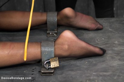 Photo number 4 from No Holds - Cassandra Nix shot for Device Bondage on Kink.com. Featuring Cassandra Nix, Mz Berlin and Asa Archer in hardcore BDSM & Fetish porn.