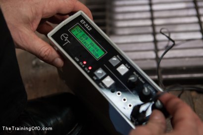 Photo number 8 from The Traniing of Claire Robbins, Day Four shot for The Training Of O on Kink.com. Featuring Claire Robbins and Big Red in hardcore BDSM & Fetish porn.