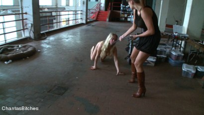 Photo number 0 from Sweet BDSM Dreams shot for Chanta's Bitches on Kink.com. Featuring Dia Zerva and Nika Noire in hardcore BDSM & Fetish porn.