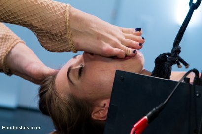 Photo number 2 from Riley Reid's Final Round of Electrosex shot for Electrosluts on Kink.com. Featuring Riley Reid and Lea Lexis in hardcore BDSM & Fetish porn.
