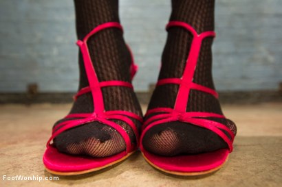 Photo number 14 from Foot Fucking Fetish Foursome shot for Foot Worship on Kink.com. Featuring Katie Summers, Vanessa Cage, Chris Johnson and Katie St. Ives in hardcore BDSM & Fetish porn.