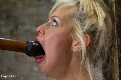 Photo number 0 from Tara Lynn Foxx is INSATIABLE shot for Hogtied on Kink.com. Featuring Tara Lynn Foxx in hardcore BDSM & Fetish porn.