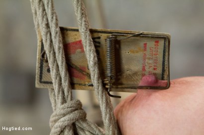 Photo number 11 from Tara Lynn Foxx is INSATIABLE shot for Hogtied on Kink.com. Featuring Tara Lynn Foxx in hardcore BDSM & Fetish porn.