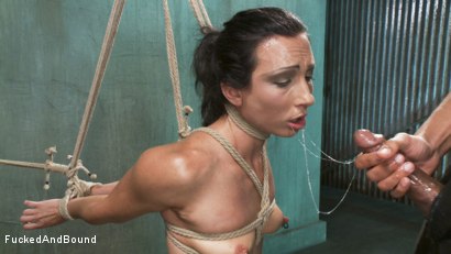 Photo number 9 from Wenona Fucked Hard in Brutal Bondage shot for Fucked and Bound on Kink.com. Featuring Wenona and Mickey Mod in hardcore BDSM & Fetish porn.