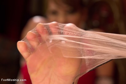 Photo number 12 from Deepest and kinkiest lesbian anal footing ever! shot for Foot Worship on Kink.com. Featuring Ava Devine, Chastity Lynn, Penny Pax and Riley Reid in hardcore BDSM & Fetish porn.