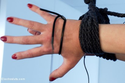 Photo number 7 from Cherry Torn in Painful Electric Copper Pipe Predicament! shot for Electrosluts on Kink.com. Featuring Lea Lexis and Cherry Torn in hardcore BDSM & Fetish porn.