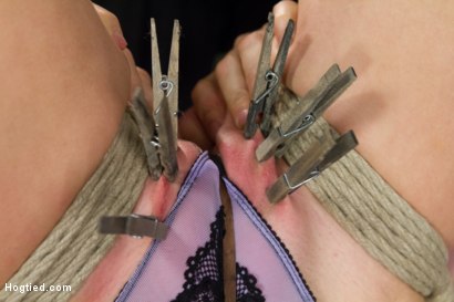 Photo number 3 from Hogtied Mangles Cherry Torn shot for Hogtied on Kink.com. Featuring Cherry Torn in hardcore BDSM & Fetish porn.