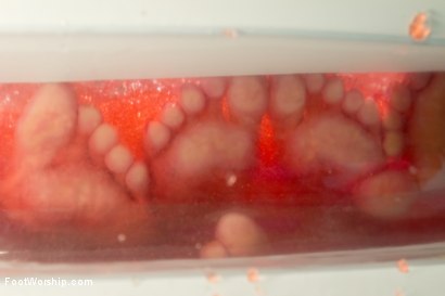 Photo number 5 from Foot Fetish, Lesbian Footing, Jello and Sploshing!!!!! shot for Foot Worship on Kink.com. Featuring Lorelei Lee, Casey Calvert and Rilynn Rae in hardcore BDSM & Fetish porn.