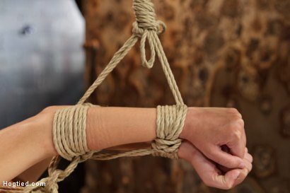 Photo number 6 from Smashing Brand New Big Tits, Beautiful Pussy shot for Hogtied on Kink.com. Featuring Nina Lopez in hardcore BDSM & Fetish porn.