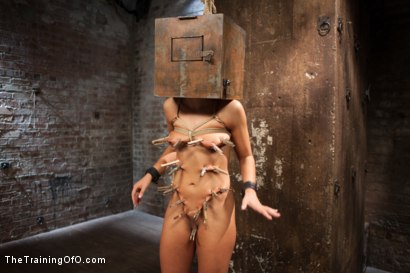 Photo number 1 from The Training of a Model or a Slave? Day Two shot for The Training Of O on Kink.com. Featuring Adriana Chechik and Mickey Mod in hardcore BDSM & Fetish porn.