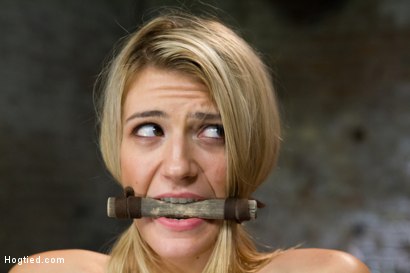 Photo number 1 from Beautiful First Timer Gets Stretched and Nailed shot for Hogtied on Kink.com. Featuring Amanda Tate in hardcore BDSM & Fetish porn.