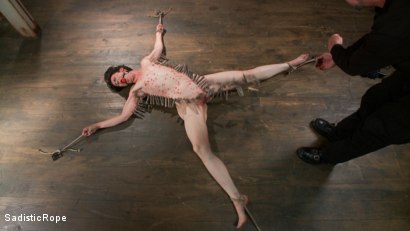 Photo number 10 from Newbie gets the full treatment! Extreme bondage and brutal torment!!! shot for Sadistic Rope on Kink.com. Featuring Pink in hardcore BDSM & Fetish porn.