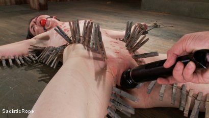 Photo number 11 from Newbie gets the full treatment! Extreme bondage and brutal torment!!! shot for Sadistic Rope on Kink.com. Featuring Pink in hardcore BDSM & Fetish porn.