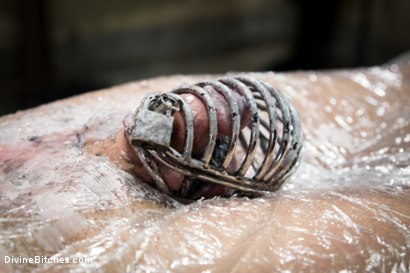 Photo number 11 from Mz Berlin's Casting Call Humiliation shot for Divine Bitches on Kink.com. Featuring Mz Berlin and Blake Steel in hardcore BDSM & Fetish porn.