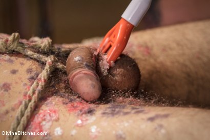 Photo number 12 from Mz. Berlin Humiliates, Fucks, and Punishes Slave with No Limits shot for Divine Bitches on Kink.com. Featuring Jake Jammer and Mz Berlin in hardcore BDSM & Fetish porn.