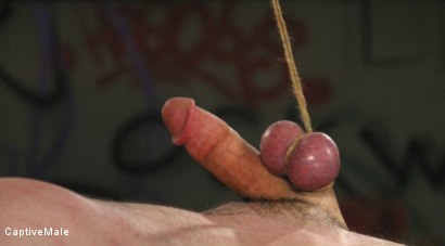 Photo number 7 from An Arrogant Principal shot for Captive Male on Kink.com. Featuring Les Moore and Lexi Belle in hardcore BDSM & Fetish porn.