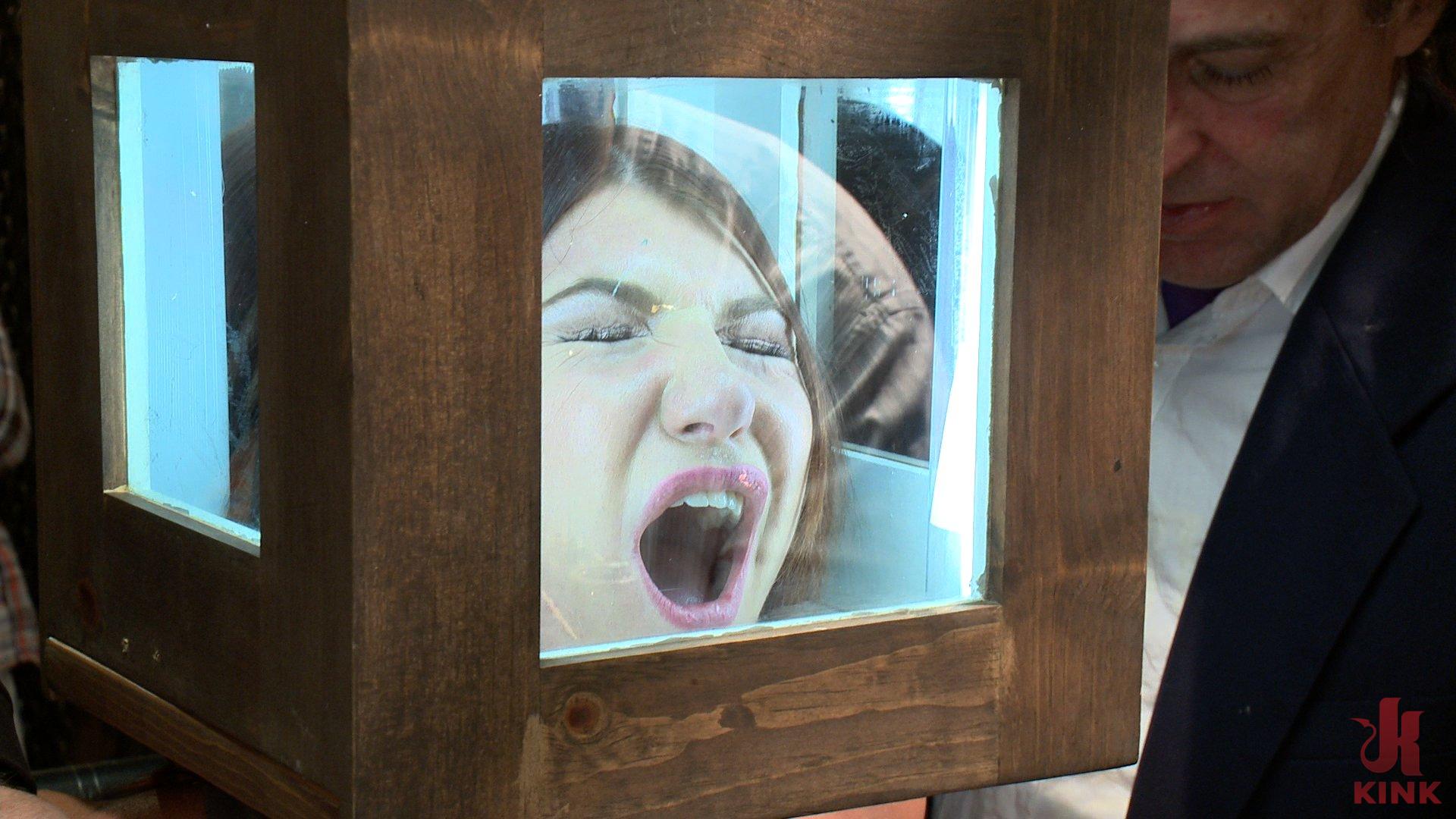 Photo number 1 from Pain slut surrenders to public ass-pounding shot for Public Disgrace on Kink.com. Featuring Bill Bailey and Cassandra Nix in hardcore BDSM & Fetish porn.