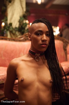 Photo number 10 from Masquerade Orgy with Nine Slaves,100 Horny Guests, Part Three shot for The Upper Floor on Kink.com. Featuring Mickey Mod, Bella Rossi, Casey Calvert, Owen Gray, Alani Pi, Penny Barber, Dylan Ryan, Maestro, Beretta James, Nikki Darling, Simone Sonay and Penny Pax in hardcore BDSM & Fetish porn.