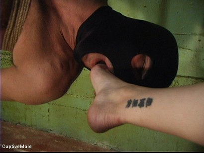 Photo number 7 from Dick On A Sawhorse shot for Captive Male on Kink.com. Featuring Mz Berlin and Lefty in hardcore BDSM & Fetish porn.