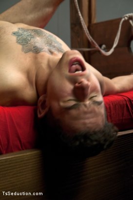 Photo number 10 from Sofia Sanders Fucks Her Little Tied up Pig Boy shot for Kink Trans on Kink.com. Featuring Sofia Sanders and Corbin Dallas in hardcore BDSM & Fetish porn.