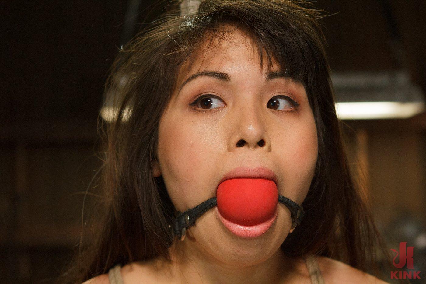 Photo number 1 from Hot Babe Tormented in Hard Bondage shot for Hogtied on Kink.com. Featuring Milcah Halili in hardcore BDSM & Fetish porn.