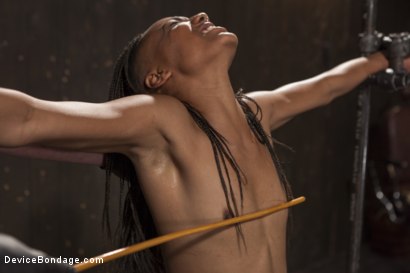 Photo number 8 from 2 Squirting Pain Sluts shot for Device Bondage on Kink.com. Featuring Daisy Ducati, Nikki Darling and The Pope in hardcore BDSM & Fetish porn.