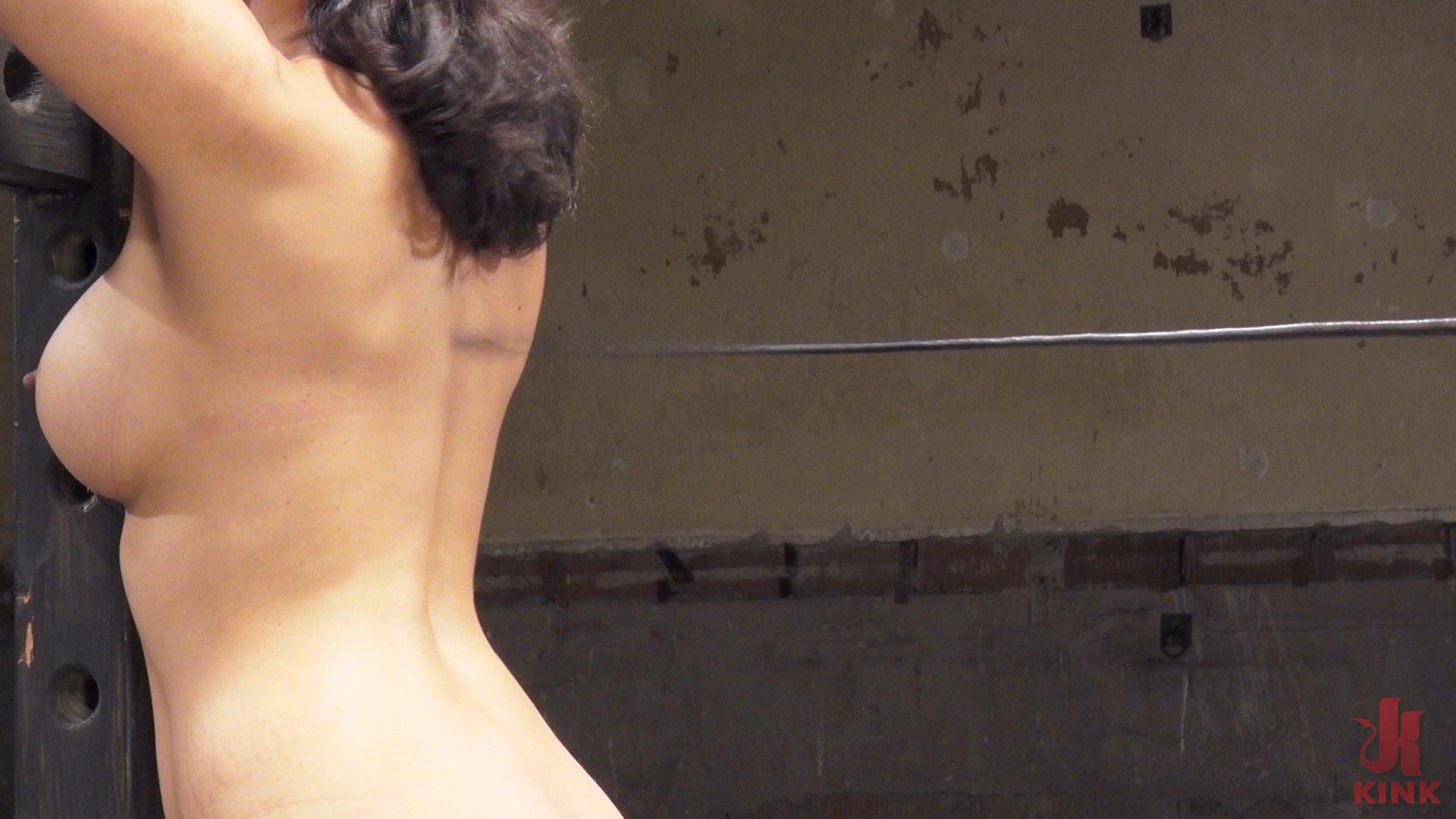 Photo number 3 from Singletailing 101 (East Coast Swing) shot for Kink University on Kink.com. Featuring Penny Barber and Guy Bennett in hardcore BDSM & Fetish porn.