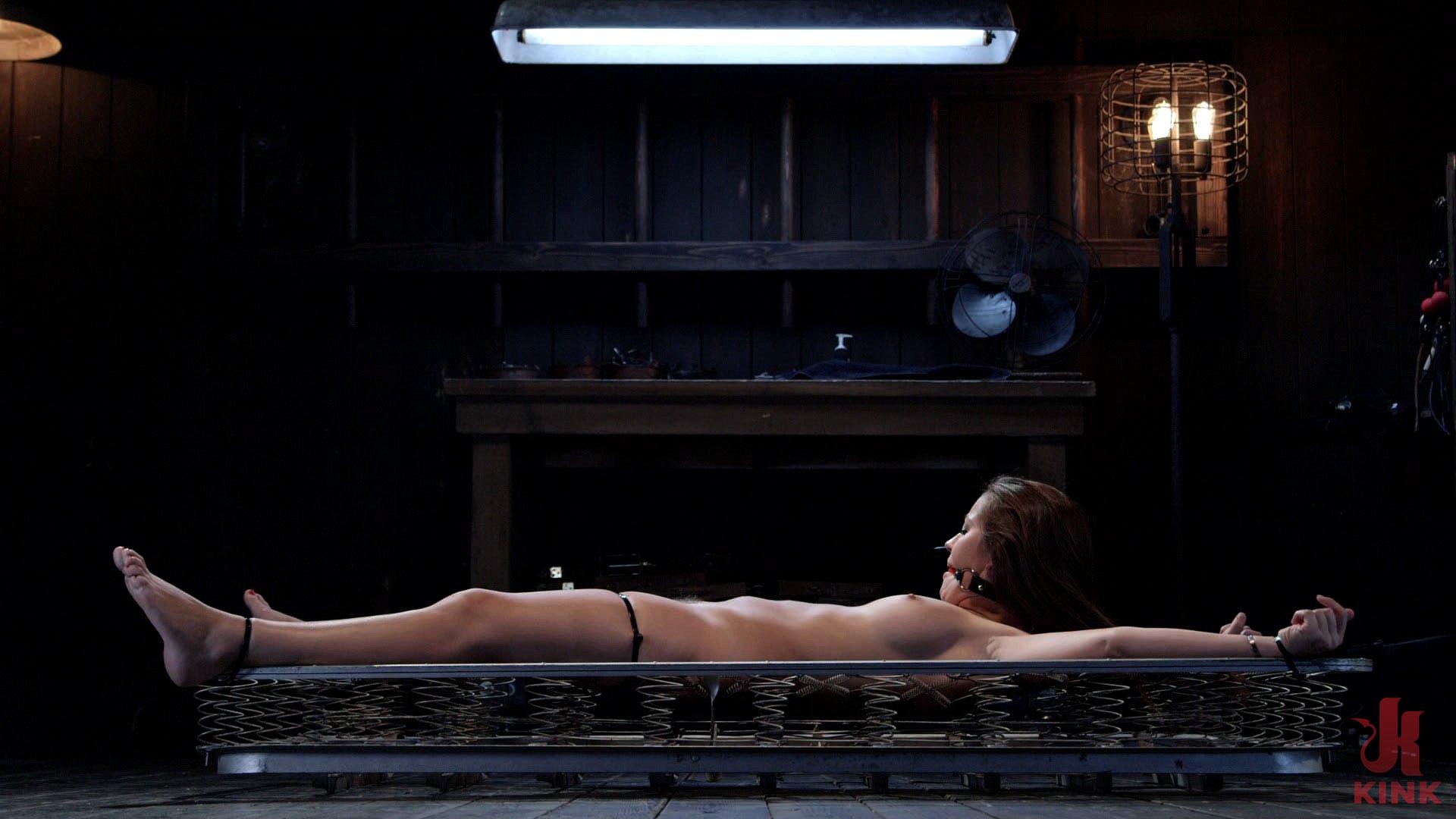 Photo number 4 from Dani Daniels - Closet Pain Slut shot for Device Bondage on Kink.com. Featuring Dani Daniels and The Pope in hardcore BDSM & Fetish porn.